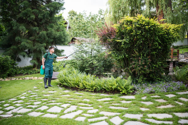Best Wasp Removal Services  in Shougal, WA