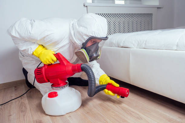Best Pest Removal Services  in Shougal, WA