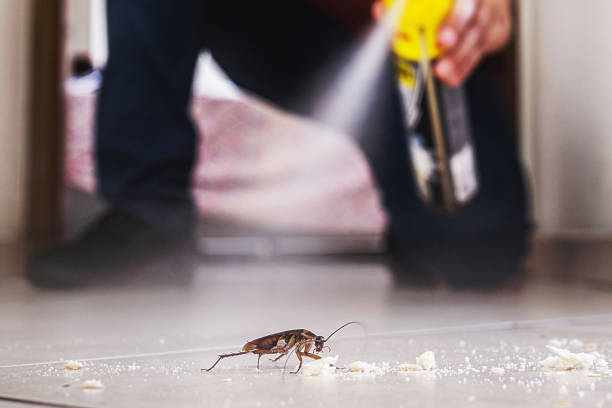 Best Cockroach Control Services  in Shougal, WA